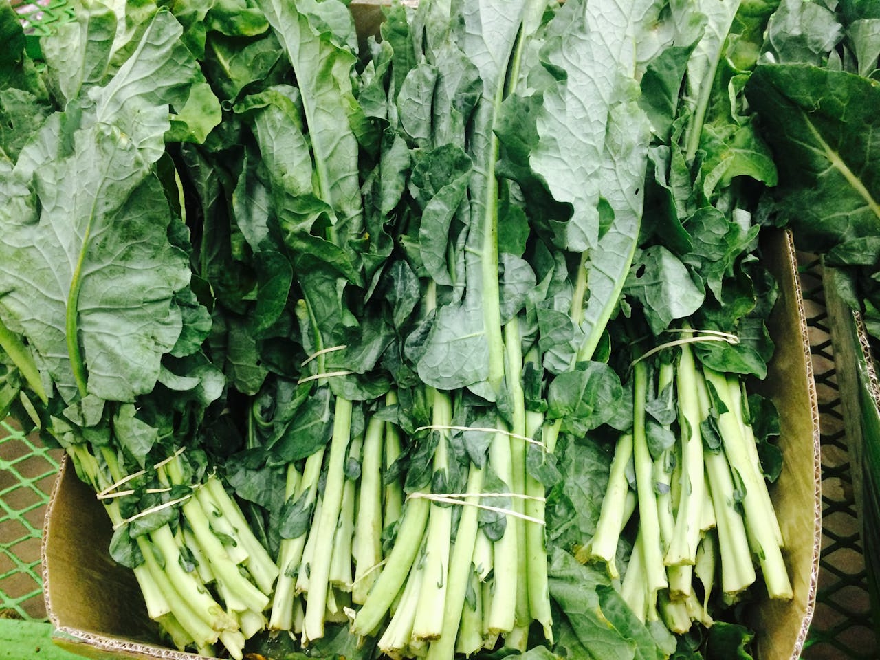 services-02 Vibrant fresh green leafy vegetables on display, showcasing organic produce.