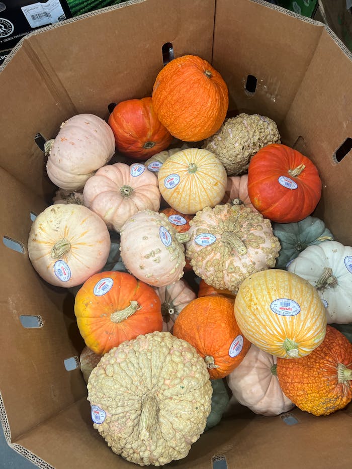Various colorful gourds in a box, perfect for fall decor.