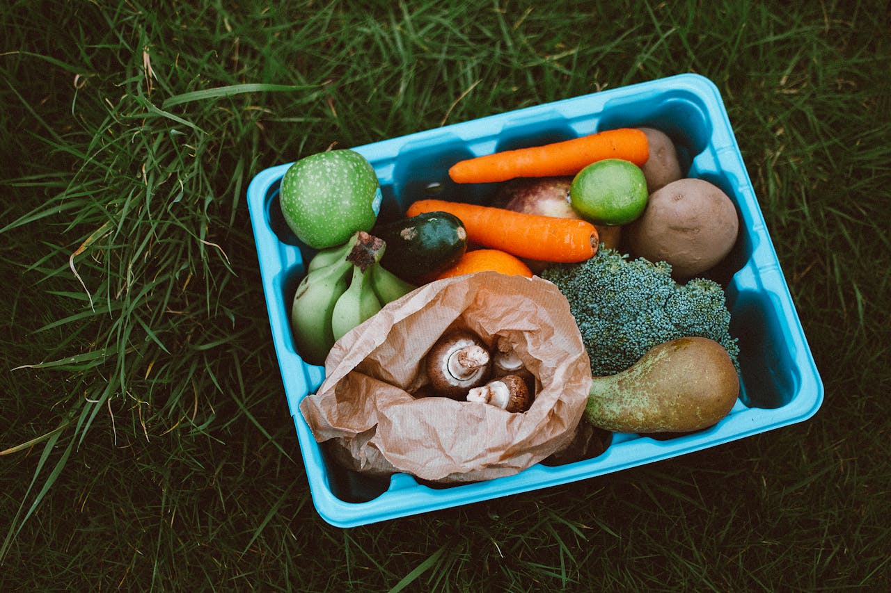 services-04 Colorful fresh produce in a blue tray on grass, showcasing healthy organic food options.